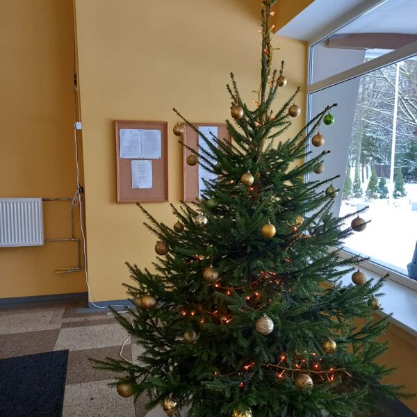 Ziemassvētu eglīte 2m