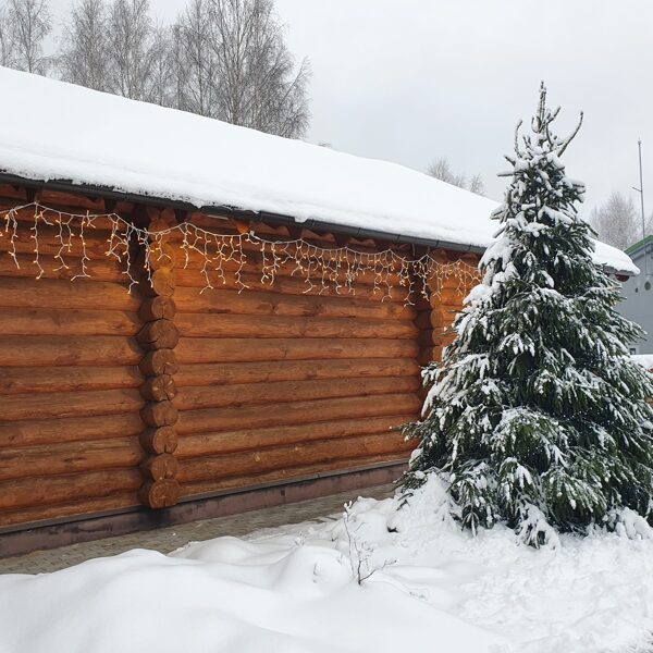 Ziemassvētku egle 5m