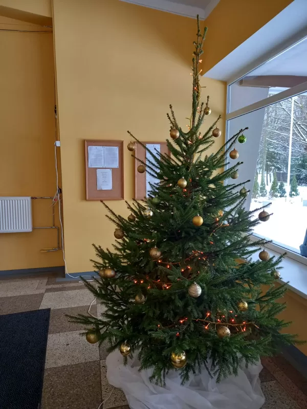 Ziemassvētu eglīte 2m