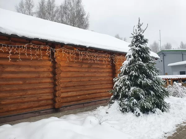 Ziemassvētku egle 5m